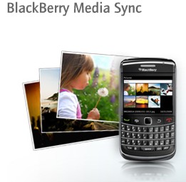 blackberry 8520 wireless synchronization not available
